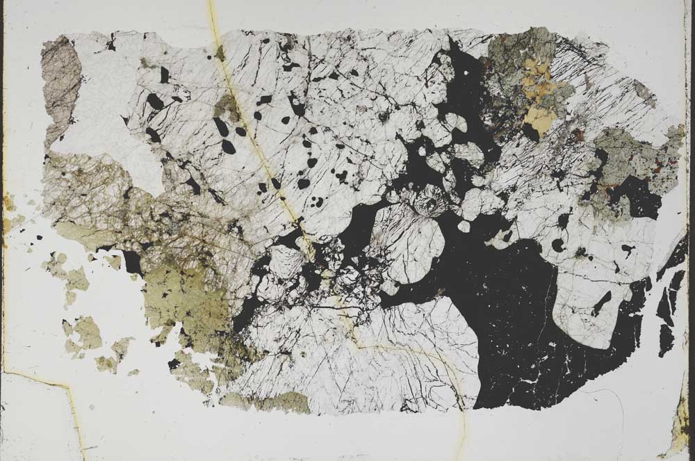 Plane Polarized, S47150