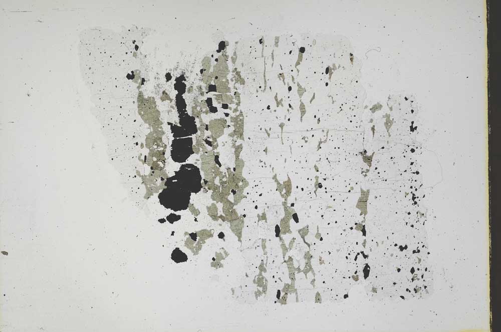 Plane Polarized, S47183