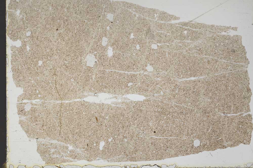 Plane Polarized, S47205