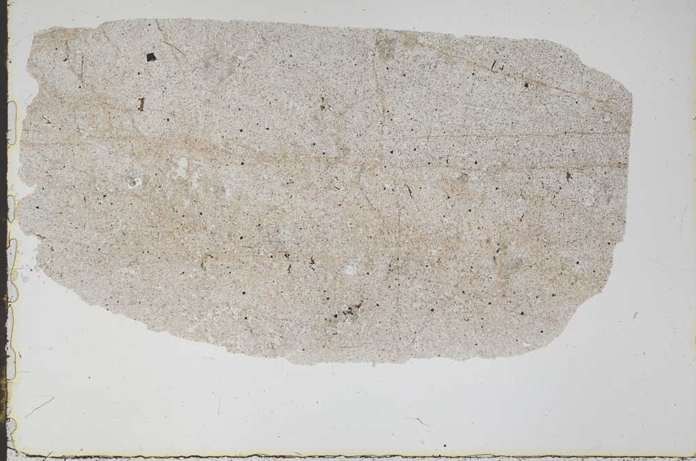 Plane Polarized, S47207