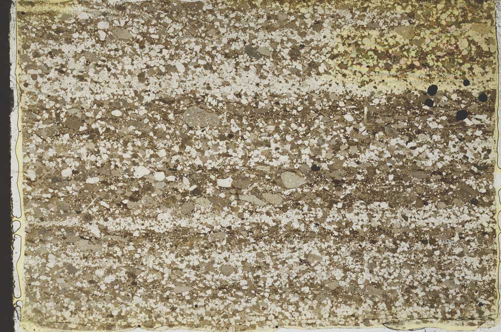 Plane Polarized, S47213