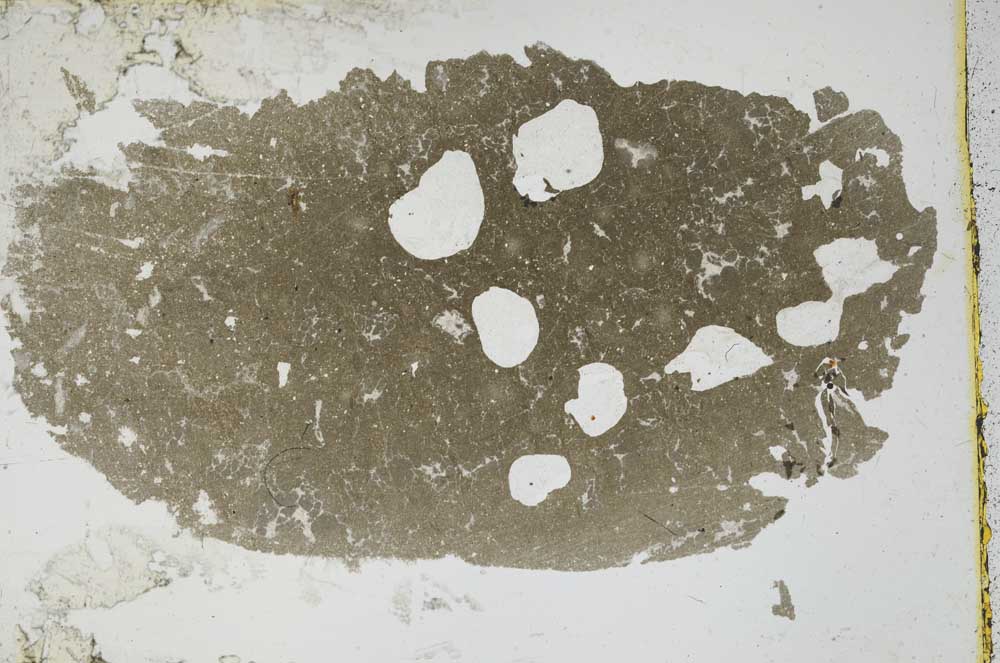 Plane Polarized, S47221