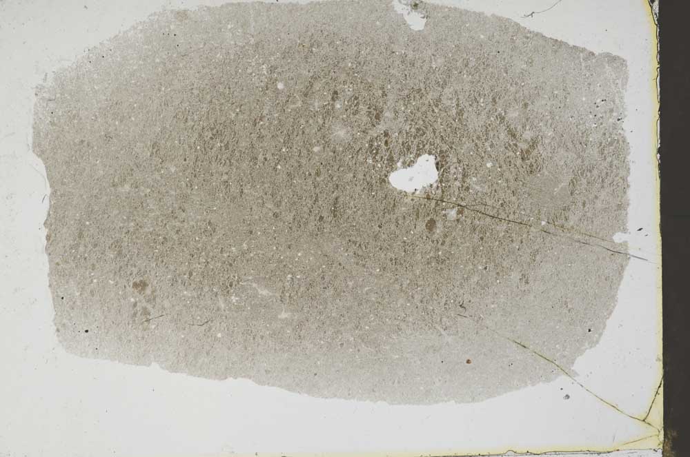Plane Polarized, S47223