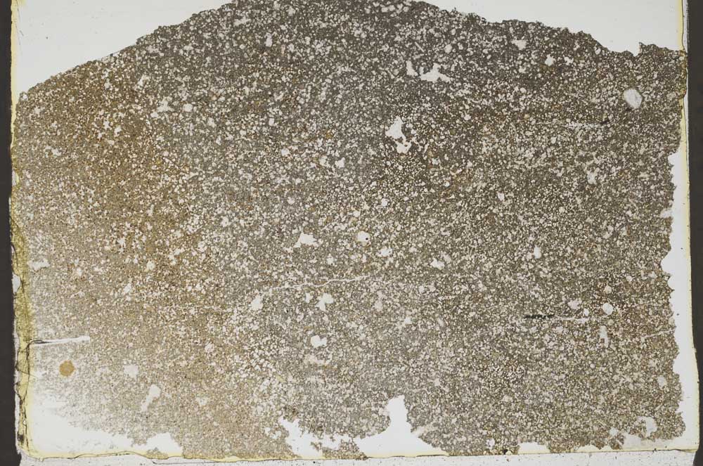 Plane Polarized, S47247