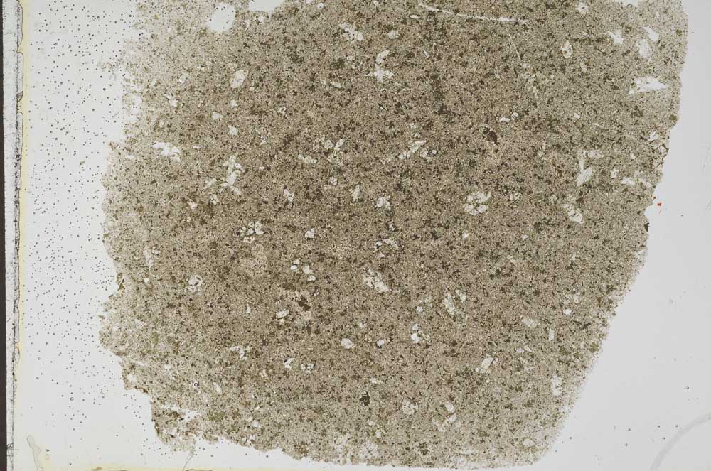 Plane Polarized, S47258