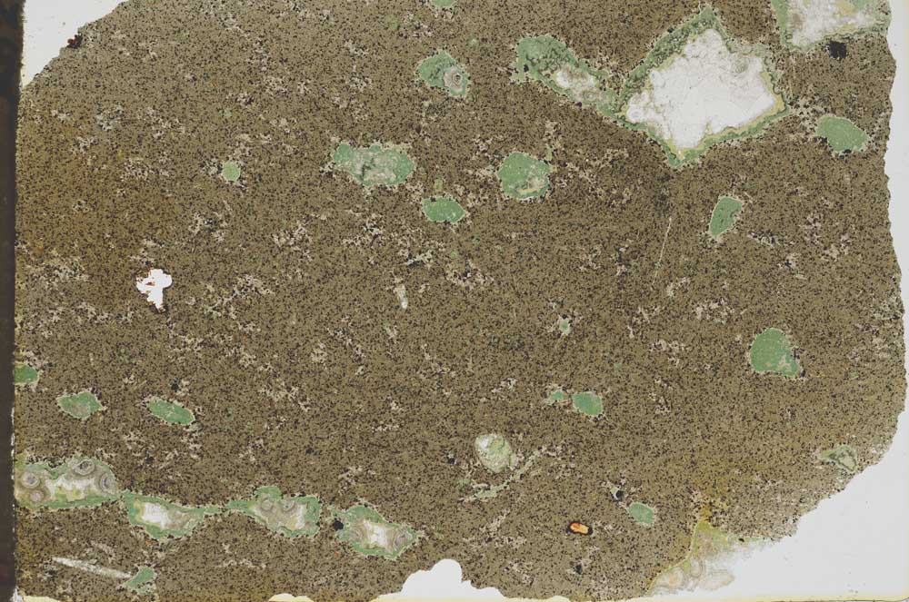 Plane Polarized, S47260