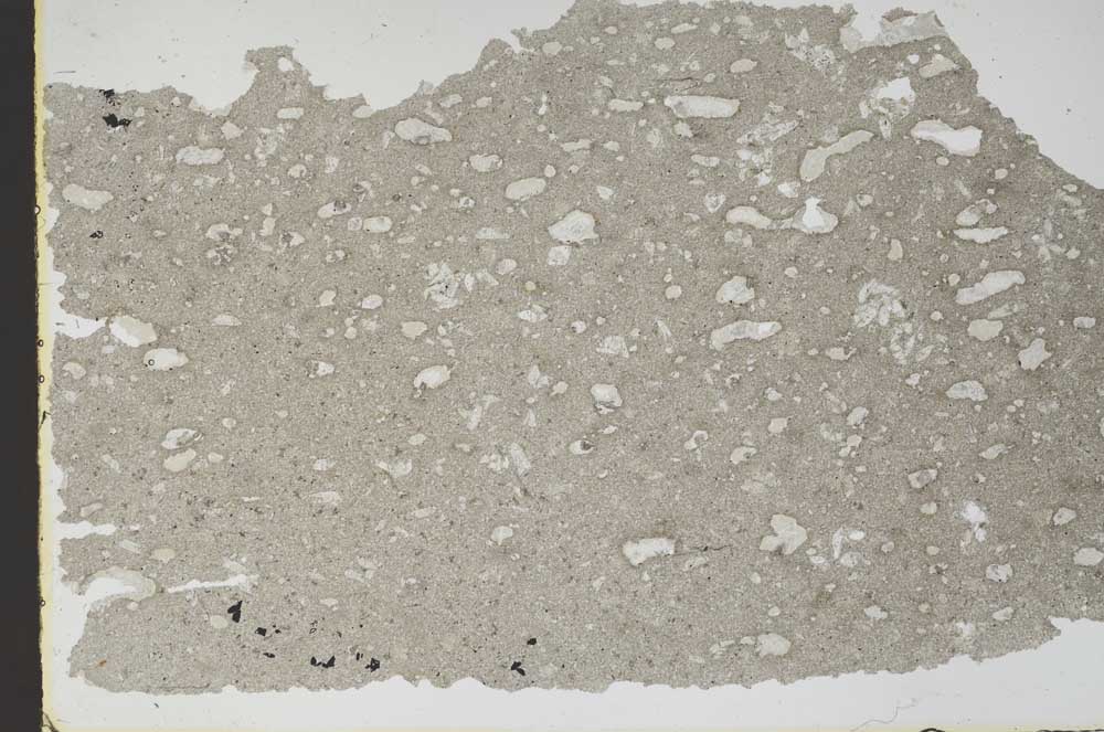 Plane Polarized, S47271