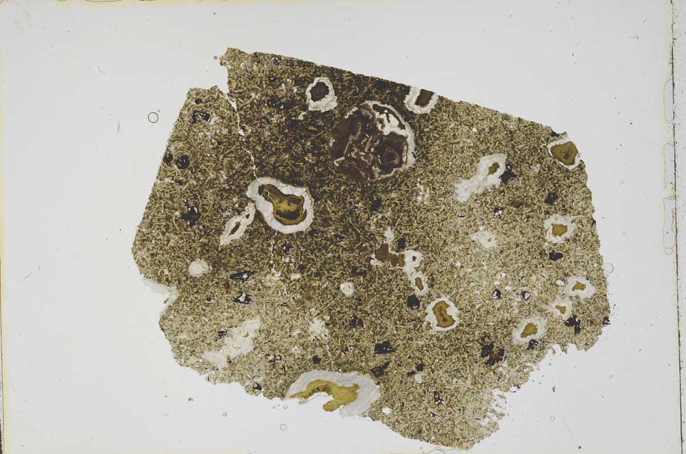 Plane Polarized, S47286