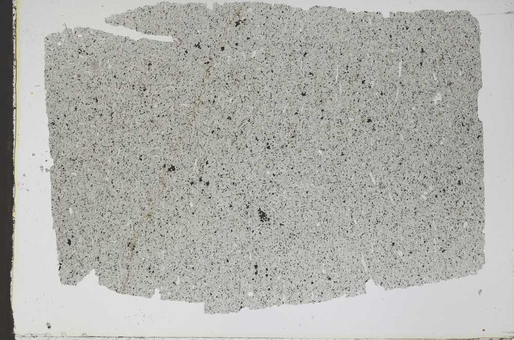 Plane Polarized, S47306