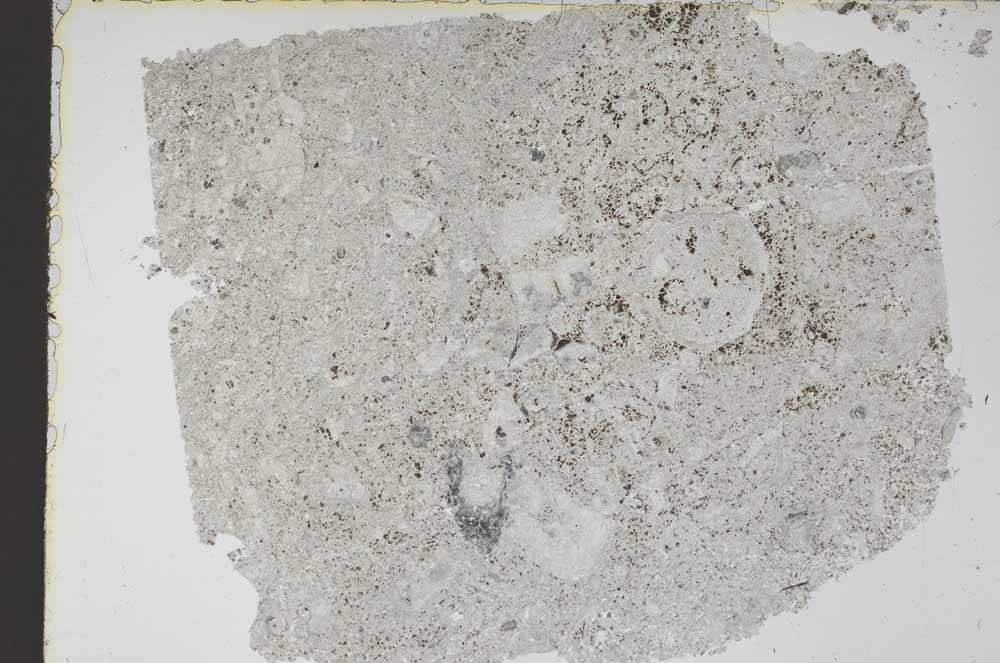 Plane Polarized, S47316