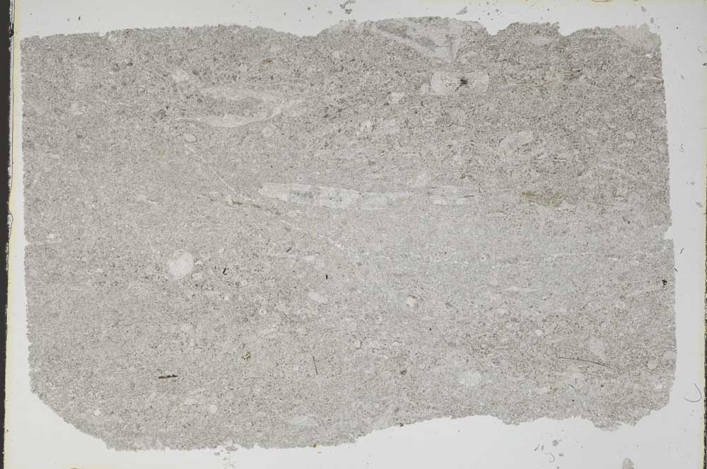 Plane Polarized, S47321