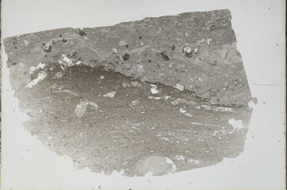 Plane Polarized, S47322