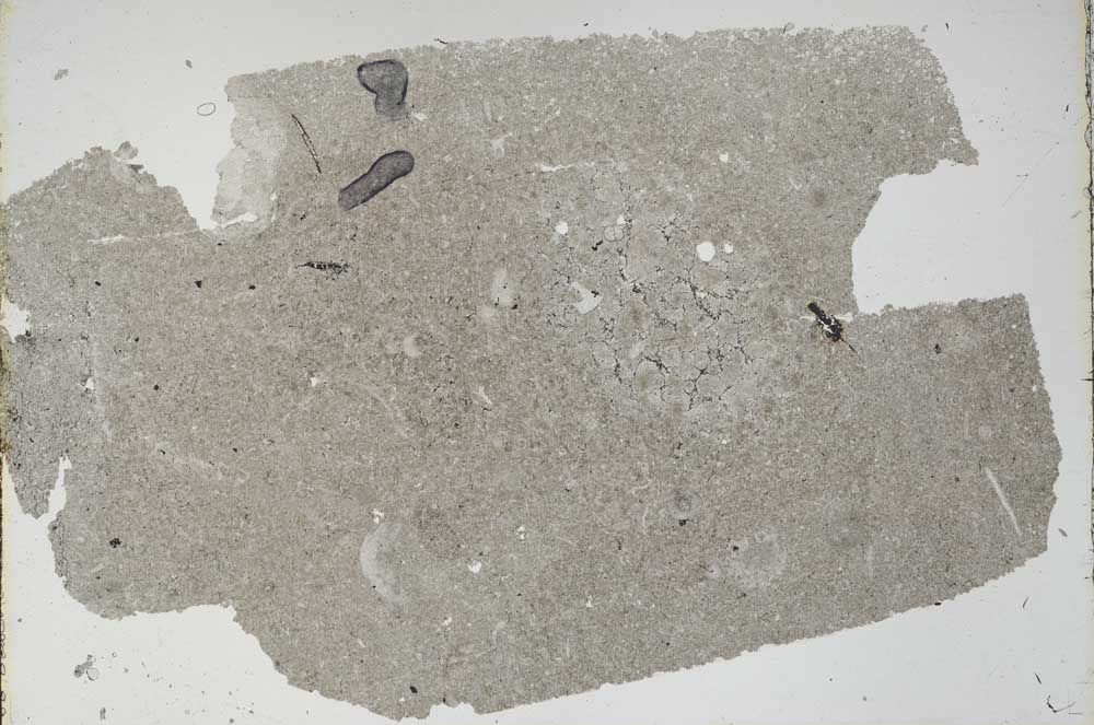 Plane Polarized, S47323