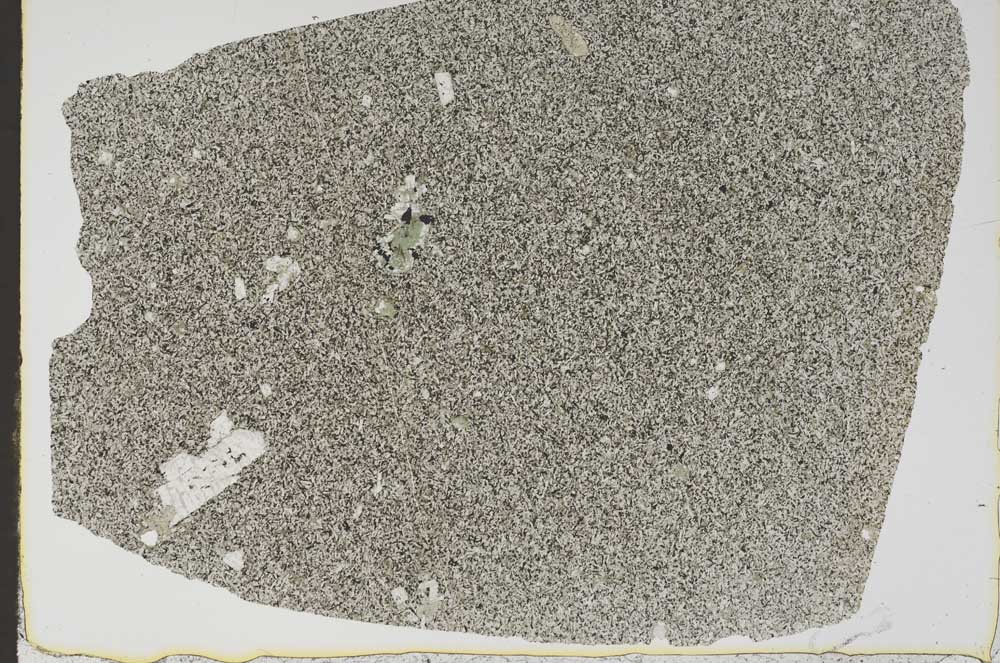 Plane Polarized, S47333