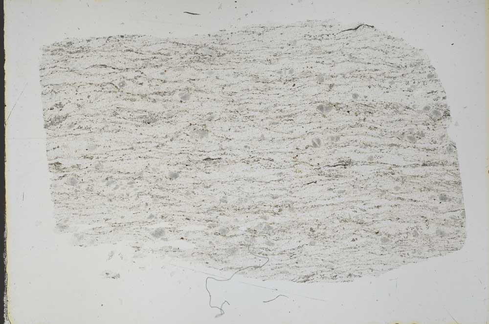 Plane Polarized, S47336