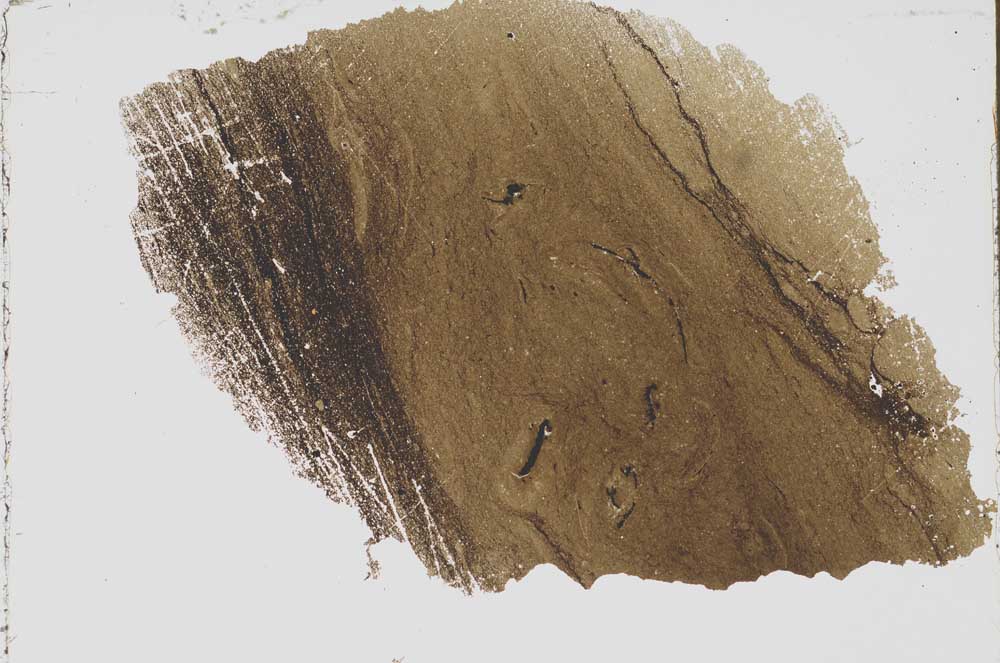 Plane Polarized, S47370