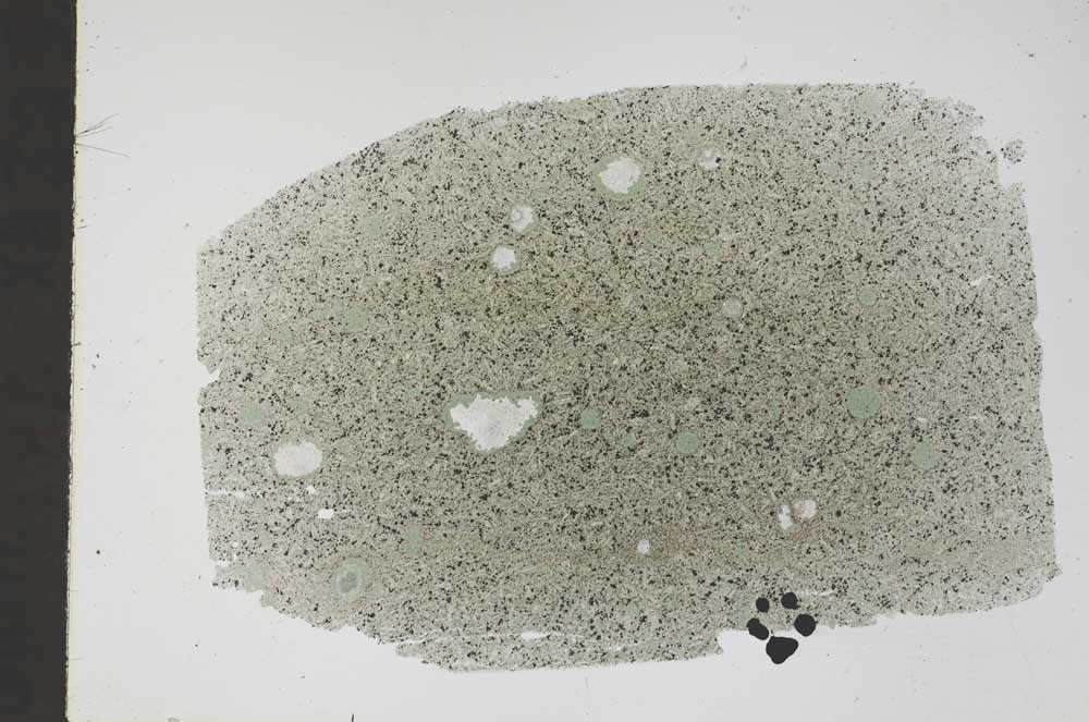 Plane Polarized, S47397