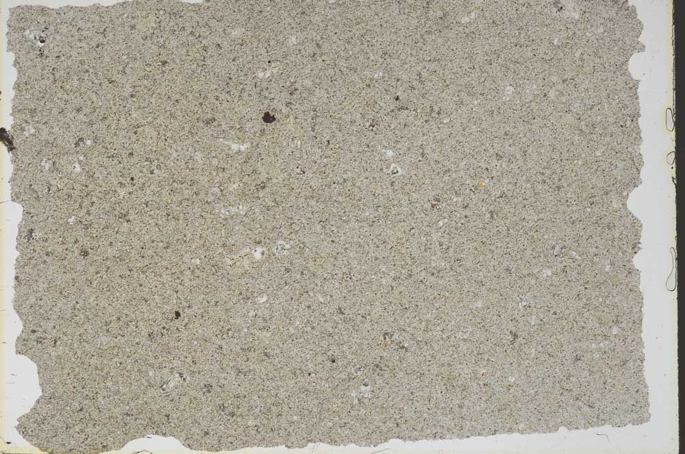 Plane Polarized, S47422