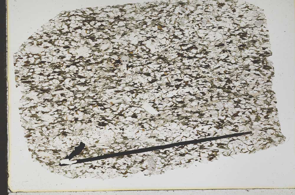 Plane Polarized, S47443