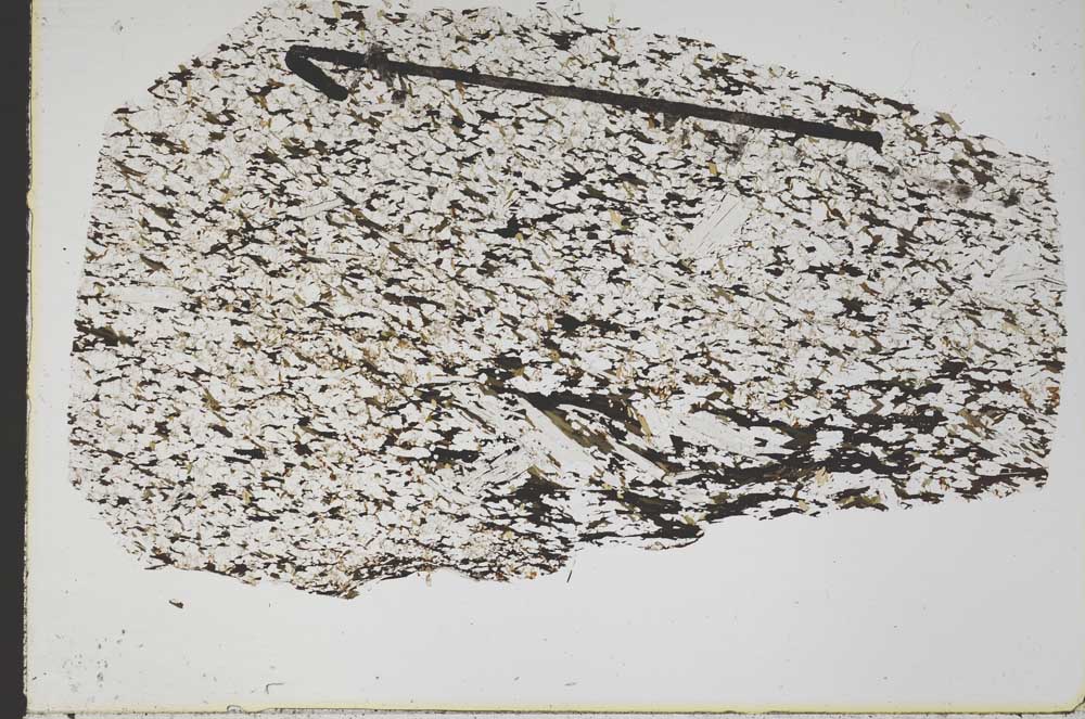 Plane Polarized, S47447