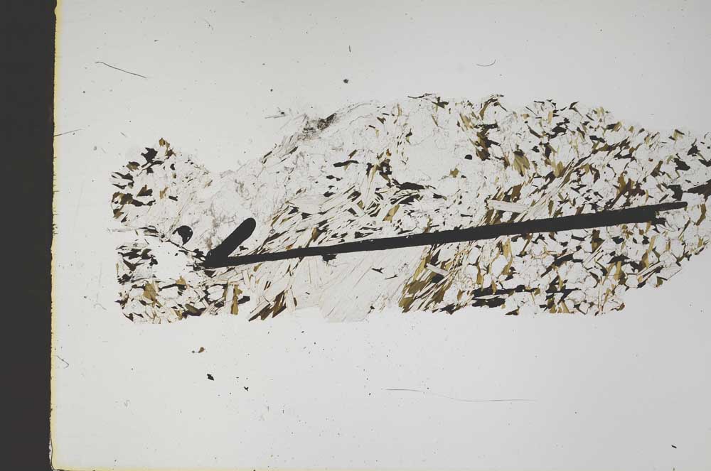 Plane Polarized, S47450
