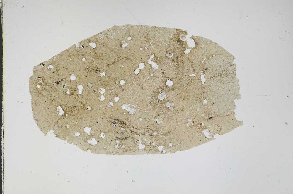 Plane Polarized, S47459