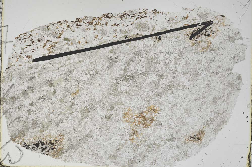 Plane Polarized, S47475