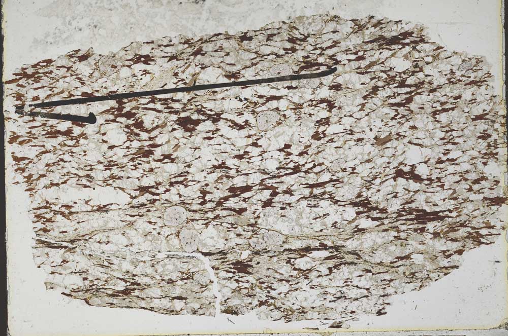 Plane Polarized, S47489