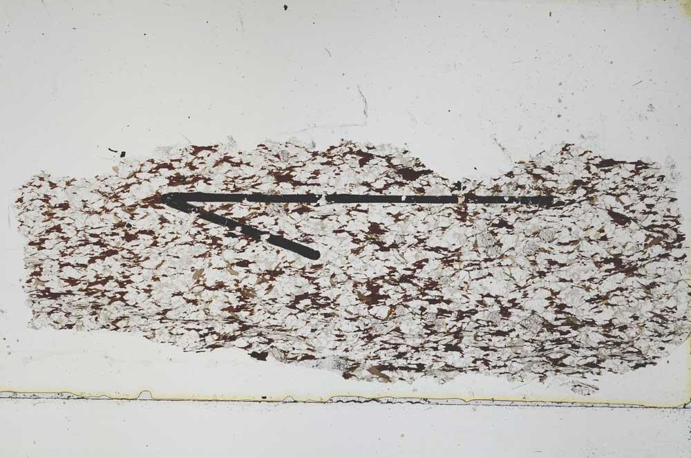Plane Polarized, S47493