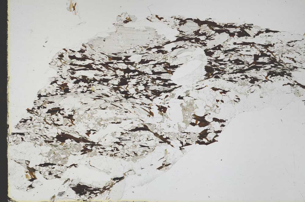 Plane Polarized, S47497