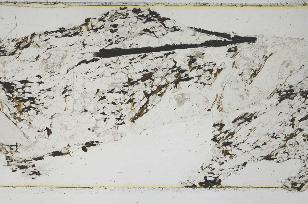 Plane Polarized, S47498