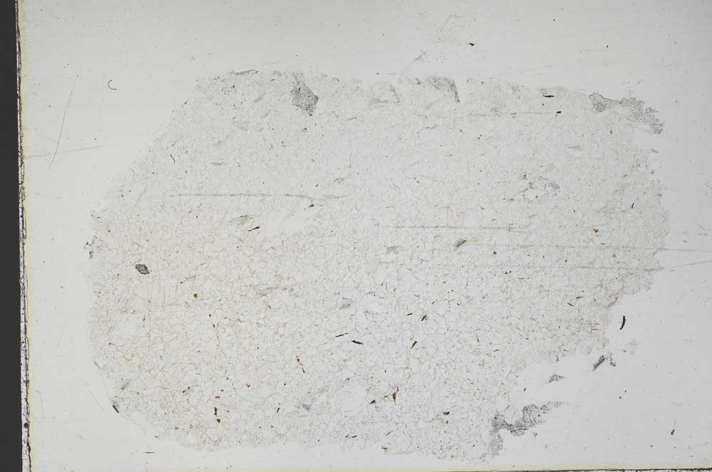 Plane Polarized, S47501