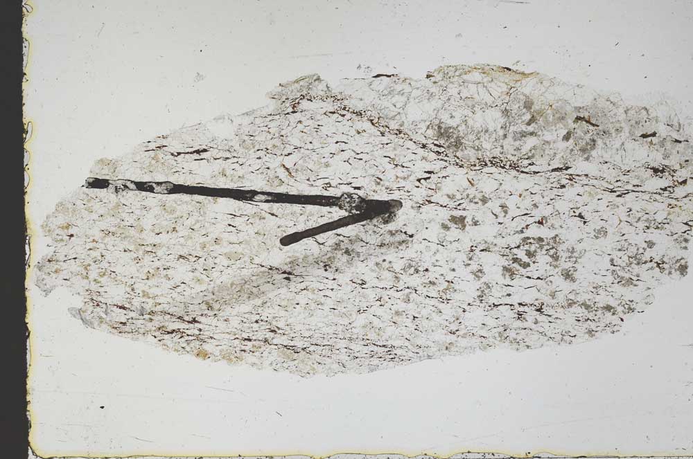 Plane Polarized, S47510