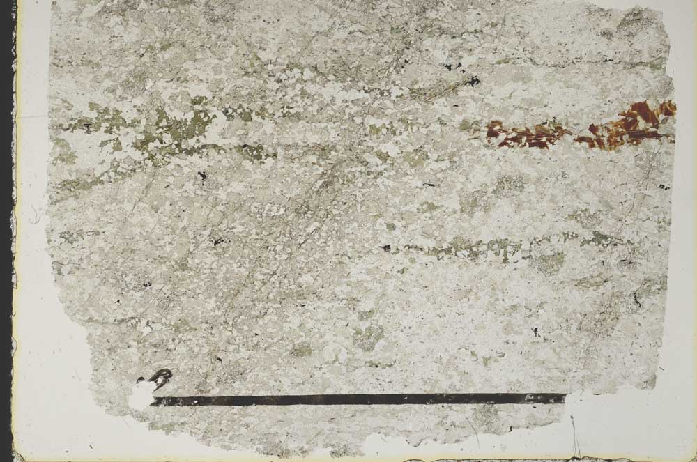 Plane Polarized, S47521