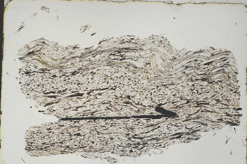 Plane Polarized, S47526