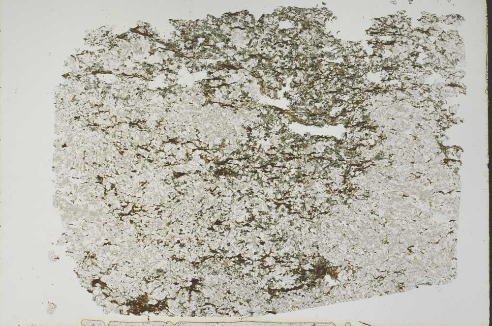 Plane Polarized, S47532