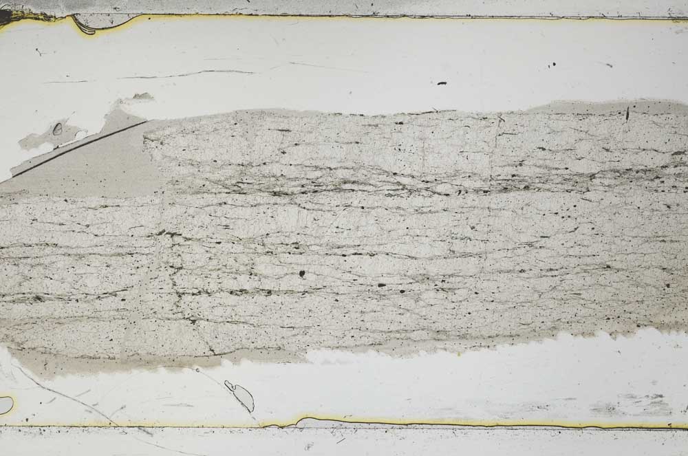 Plane Polarized, S47576