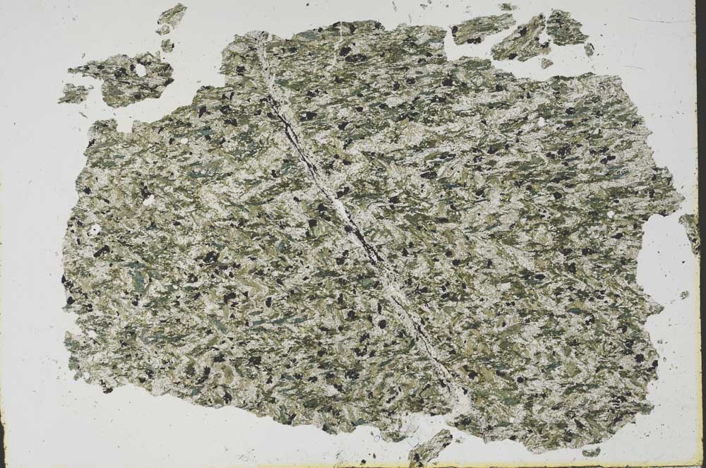 Plane Polarized, S47598