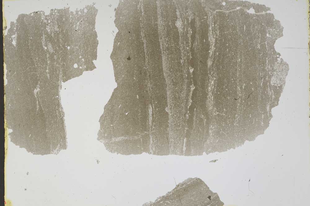 Plane Polarized, S47603