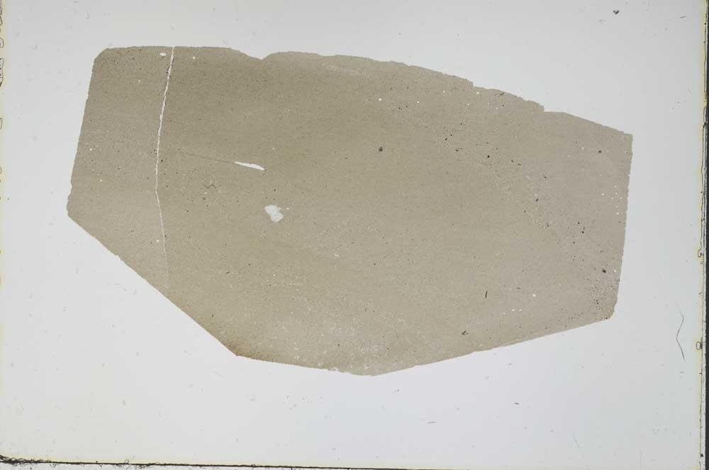 Plane Polarized, S47604