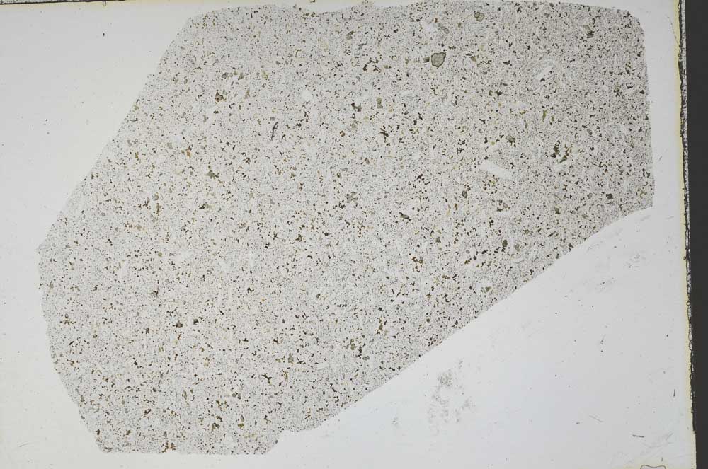 Plane Polarized, S47616