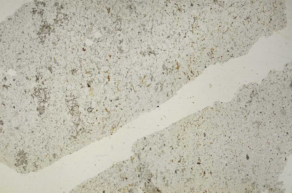 Plane Polarized, S47649