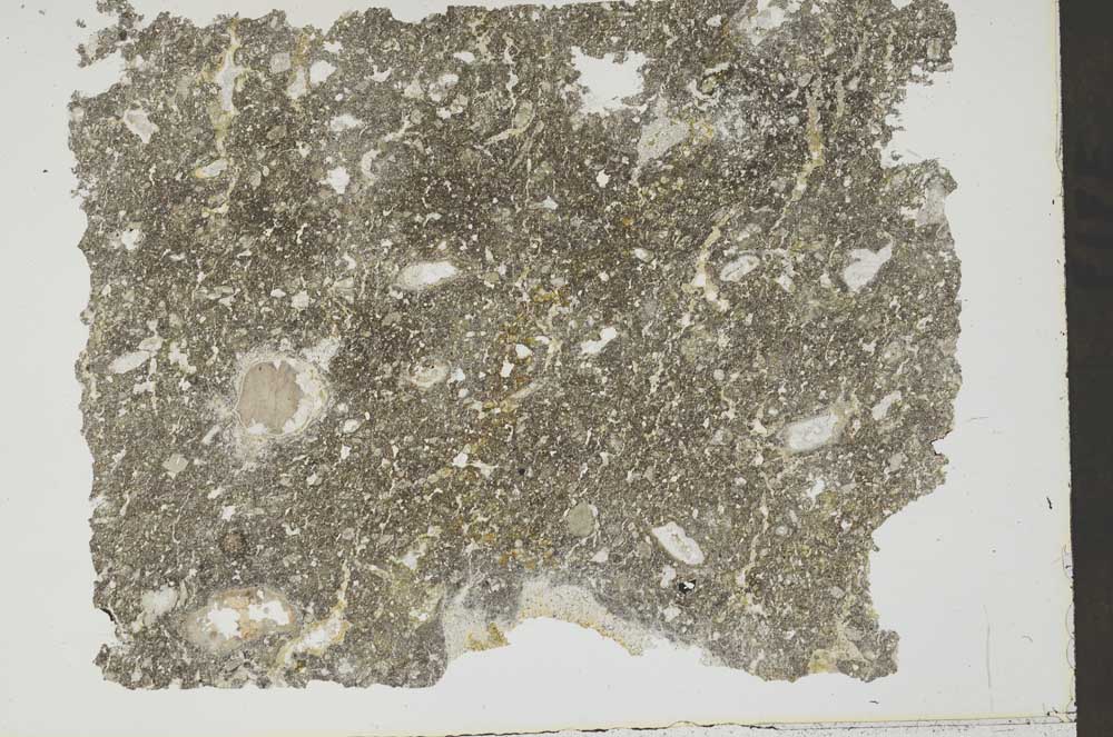 Plane Polarized, S47660