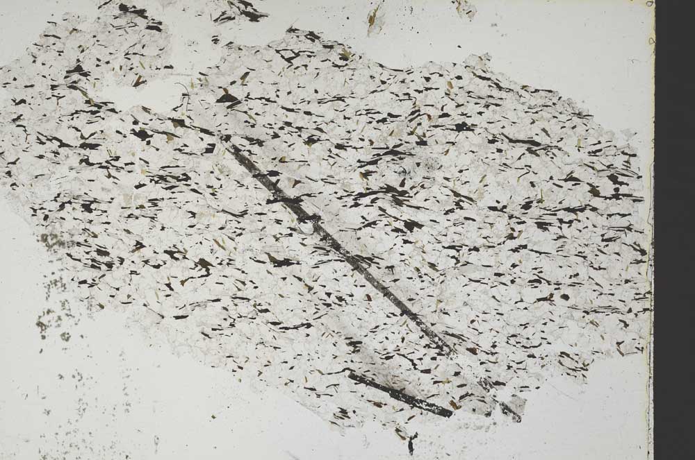 Plane Polarized, S47672