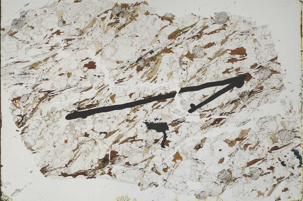 Plane Polarized, S47674