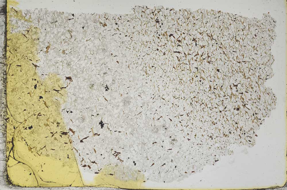 Plane Polarized, S47676