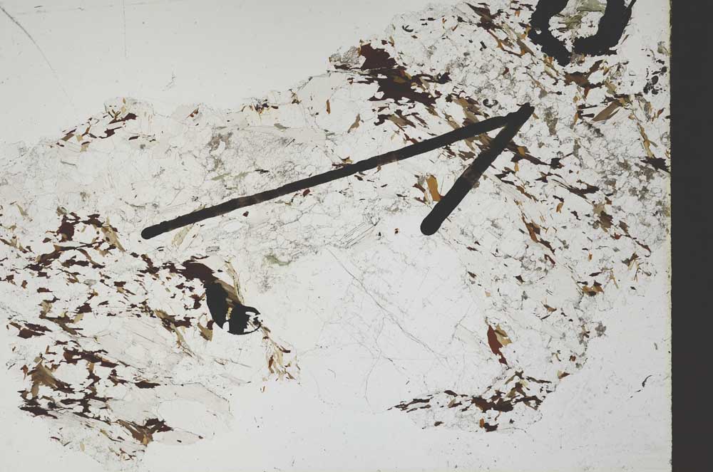 Plane Polarized, S47682