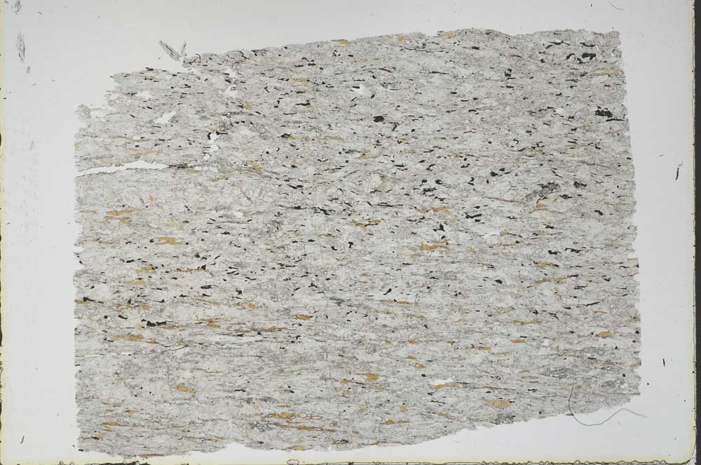 Plane Polarized, S47766