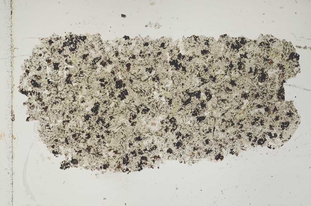 Plane Polarized, S47826