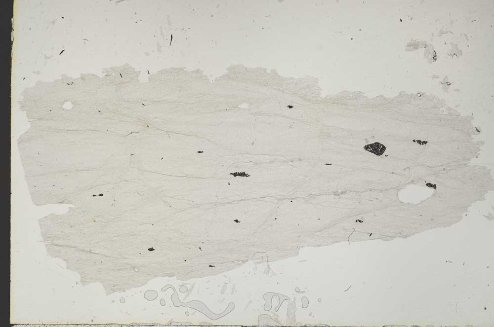 Plane Polarized, S47831